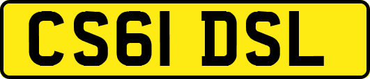 CS61DSL