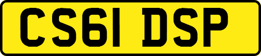 CS61DSP