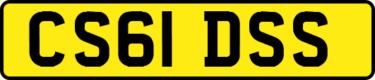 CS61DSS