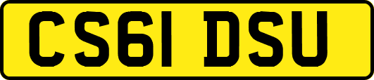 CS61DSU