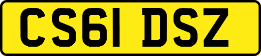 CS61DSZ