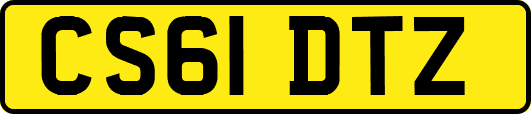 CS61DTZ