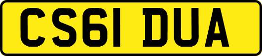 CS61DUA