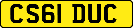 CS61DUC