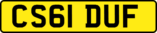 CS61DUF