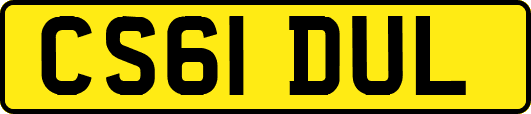 CS61DUL