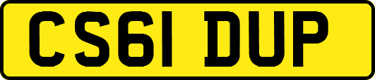 CS61DUP