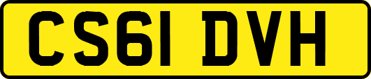 CS61DVH