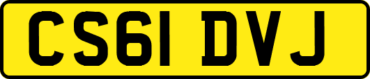 CS61DVJ