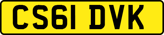 CS61DVK