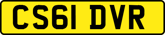 CS61DVR