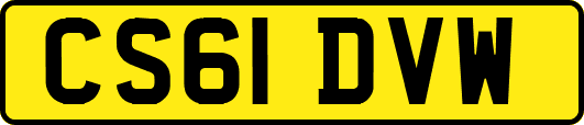 CS61DVW