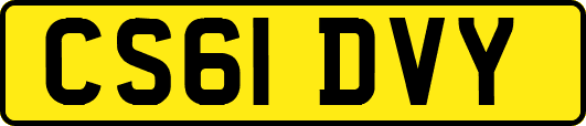 CS61DVY