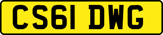 CS61DWG