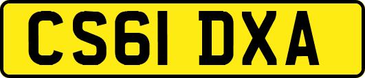 CS61DXA