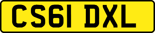 CS61DXL