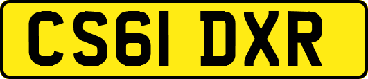 CS61DXR