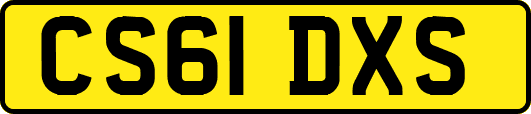 CS61DXS