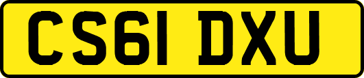 CS61DXU