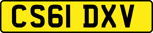 CS61DXV