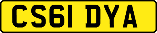 CS61DYA