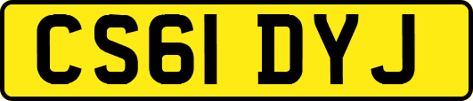 CS61DYJ