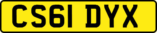 CS61DYX
