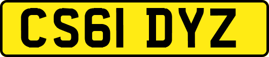CS61DYZ