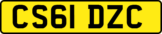 CS61DZC