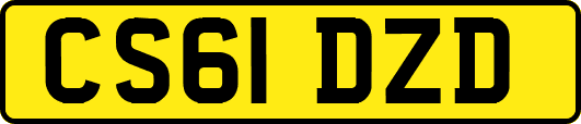 CS61DZD