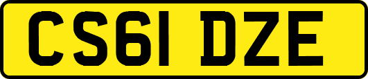 CS61DZE