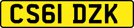 CS61DZK
