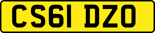 CS61DZO