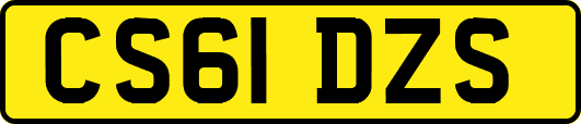 CS61DZS