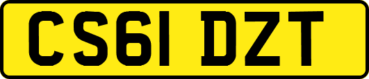 CS61DZT