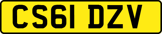 CS61DZV