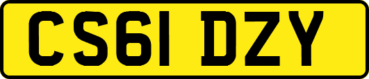 CS61DZY
