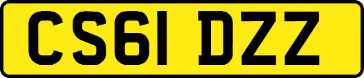 CS61DZZ