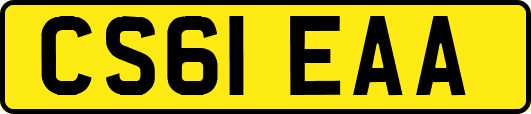 CS61EAA