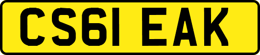 CS61EAK