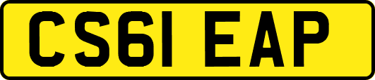 CS61EAP