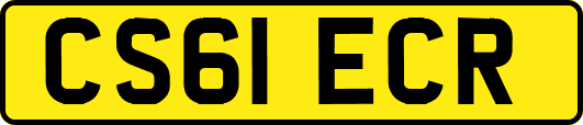 CS61ECR