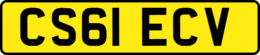 CS61ECV