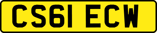 CS61ECW