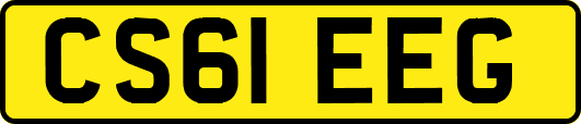 CS61EEG
