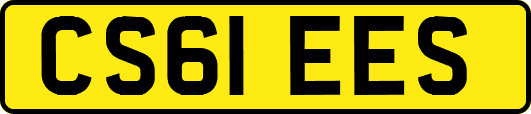 CS61EES