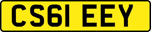 CS61EEY