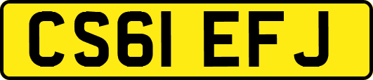 CS61EFJ