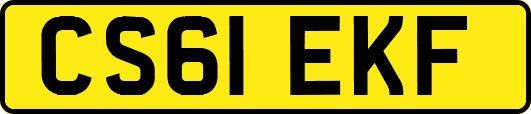 CS61EKF