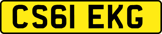 CS61EKG